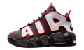 Air More Uptempo "Brown Bulls" DH9723 200