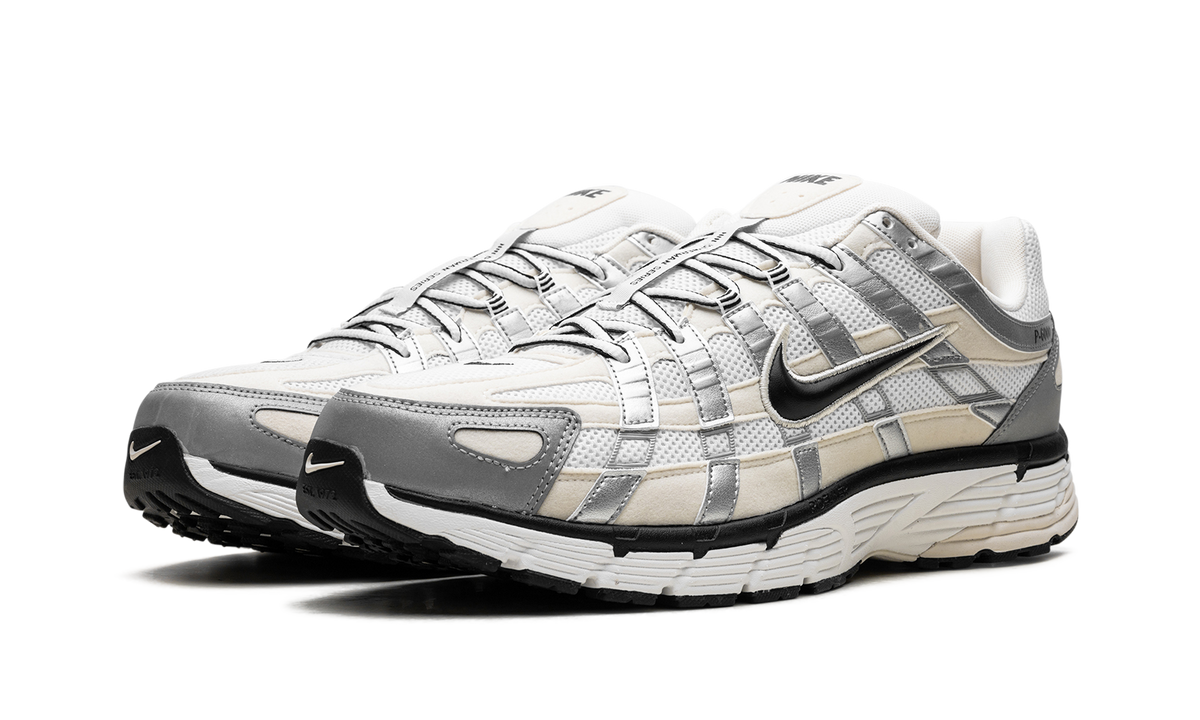 P-6000 WMNS "Coconut Milk" FV6603 100